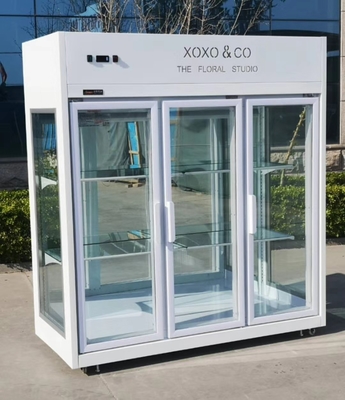 220V Floral Display Cooler 85 Cu Ft 3 Doors Tempered Glass